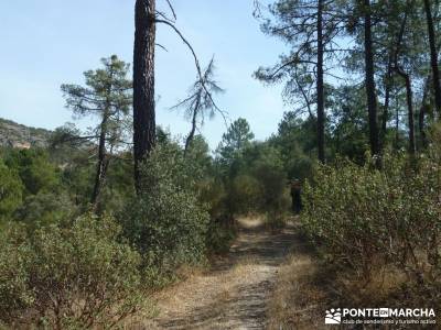 Cañones del Río Cega y  Santa Águeda  – Pedraza;nacimiento rio manzanares grupos de senderismo 